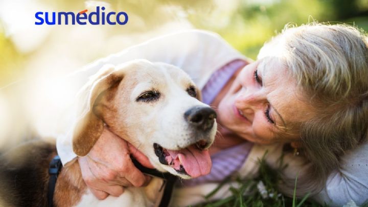 ¿Las mascotas ayudan a la salud de las personas adultas mayores? Estudio lo explica