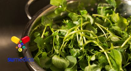 Este alimento además de ser barato, es uno de los más saludables para el cuerpo