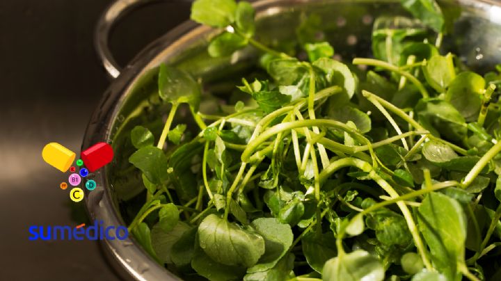 Este alimento además de ser barato, es uno de los más saludables para el cuerpo