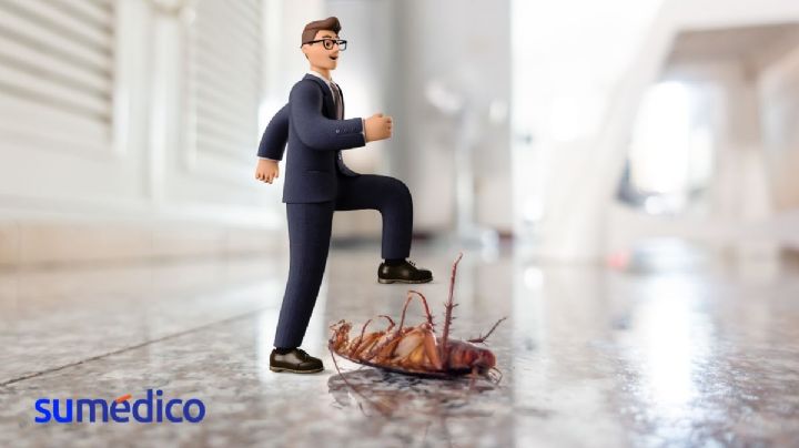 ¿Por qué no debes pisar las cucarachas?