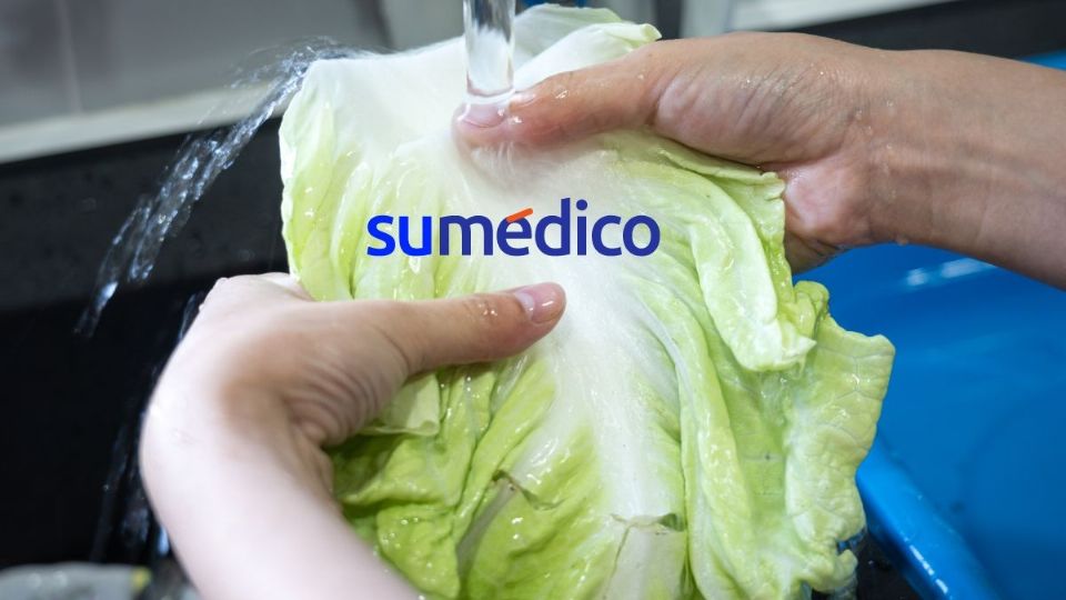 Los pasos que necesitas conocer para comer lechuga.