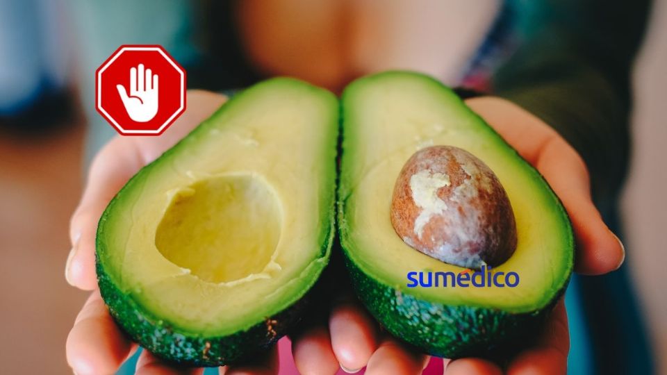 El aguacate en mal estado tiene características específicas que no debes ignorar.