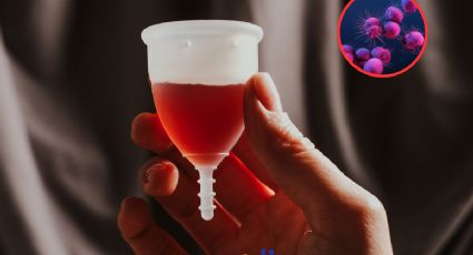 Desarrollan copa menstrual que detecta ITS ¿Cómo funciona?