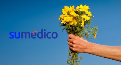 ¿Qué significa regalar flores amarillas en primavera?