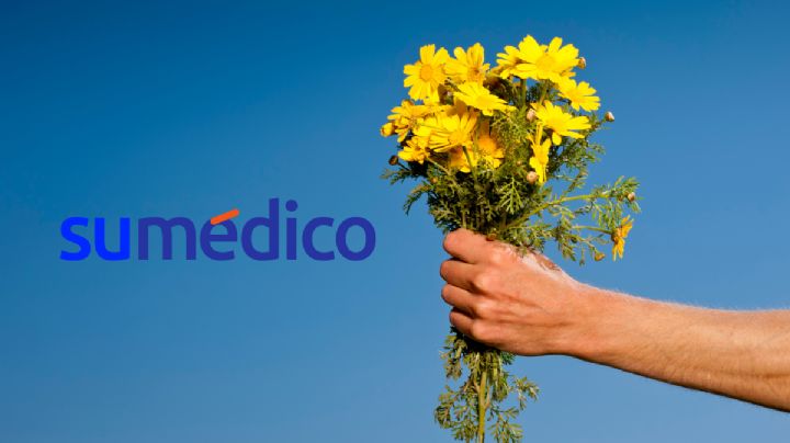 ¿Qué significa regalar flores amarillas en primavera?