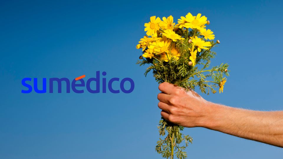 ¿Por qué tantas personas regalan flores amarillas en primavera?