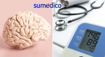 El sodio acumulado en el cerebro causaría hipertensión