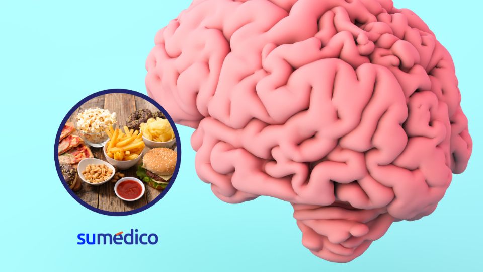 Consumir alimentos altos en grasas y azúcares activa un proceso de recompensa y motivación en el cerebro.