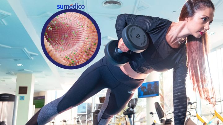 Microbios en el intestino, posibles motivadores para realizar ejercicio