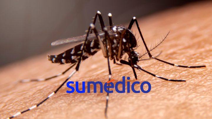 ¿Cómo cuidarse del dengue en vacaciones de Semana Santa?