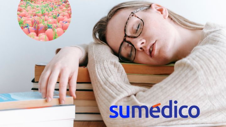 ¿Estás siempre cansado? El problema puede estar en el intestino