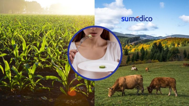 Dietas sustentables: un reto para México y el mundo