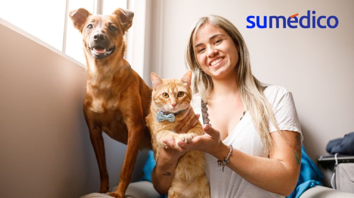 Bacterias muy resistentes podrían contagiarse entre mascotas y dueños