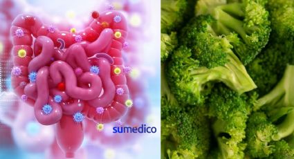 Brócoli puede proteger contra el cáncer de colon, según estudio