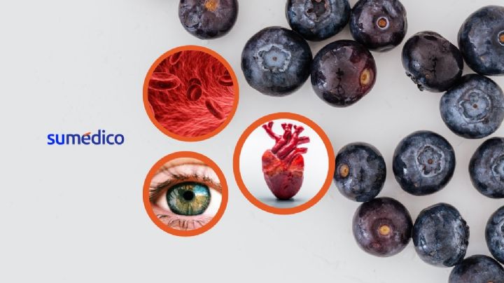 ¿Por qué debes consumir arándanos? Acá te decimos