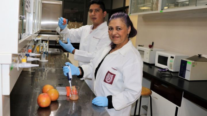Jugo de toronja protege contra el daño testicular: investigadores del IPN