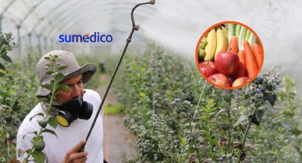 Estas son las frutas y verduras con más pesticidas en el mercado