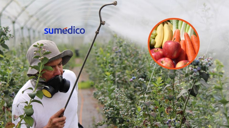 Algunas de las frutas y verduras que encabezan la lista tienen más de 100 plaguicidas