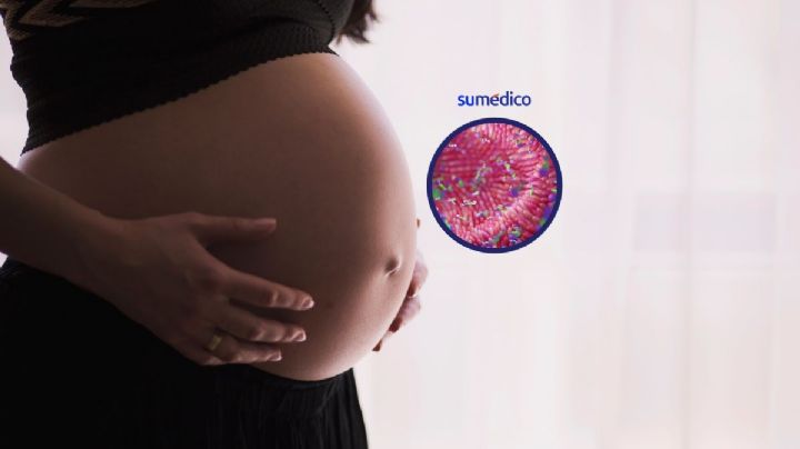 Microbioma de la madre no influye en el bebé como se creía: estudio