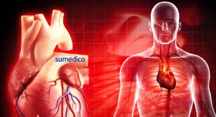 Desarrollan “minicorazón” para el estudio de enfermedades cardiacas