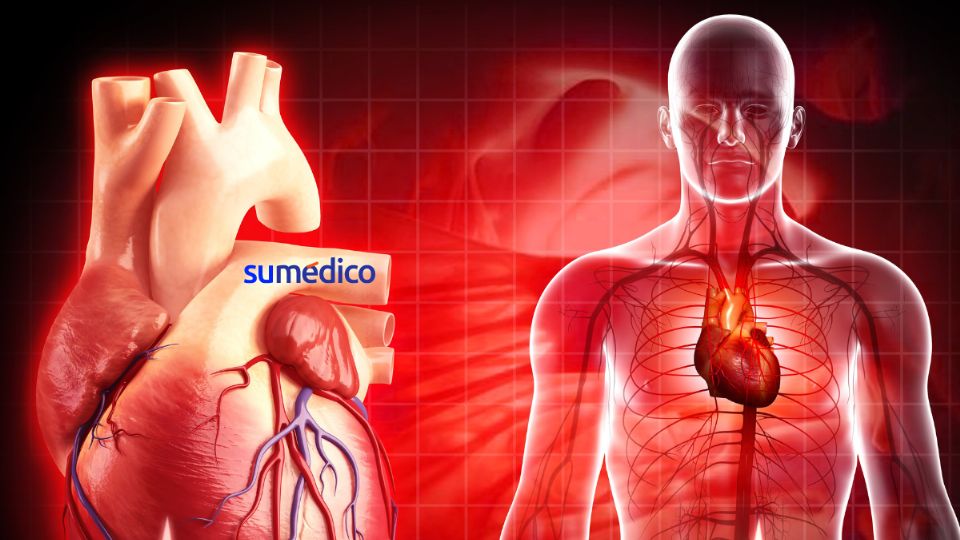 Un nuevo estudio podría revolucionar las investigaciones de las cardiopatías isquémicas.