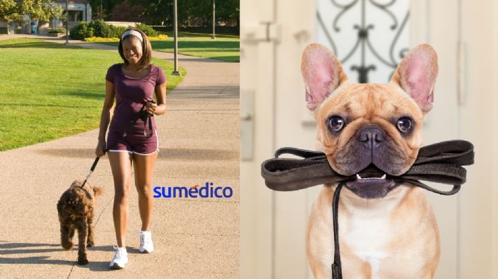 3 lesiones más comunes al pasear con correa a tu perro, según un estudio