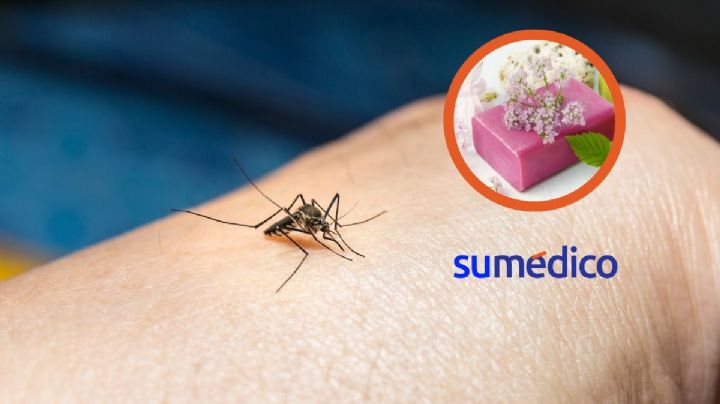 Dime qué jabón usas y te diré cuánto les atraes a los mosquitos, esto dice un estudio