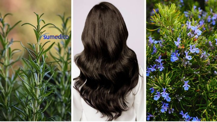 Plantas medicinales que te harán recuperar el brillo y grosor del cabello