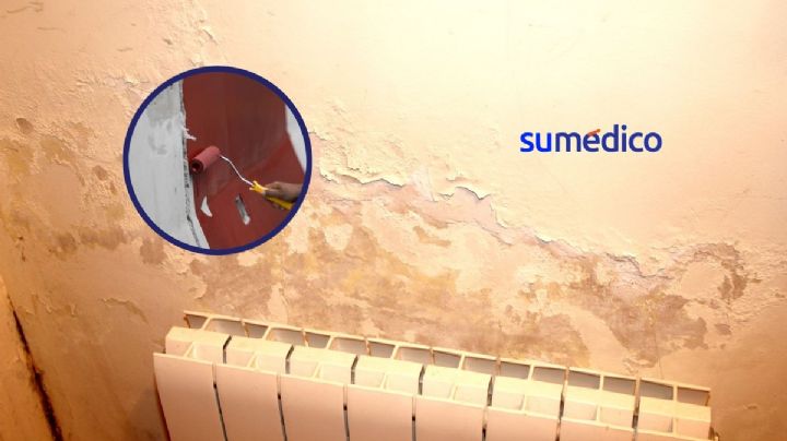 ¿Cómo quitar las manchas de humedad en las paredes? Te contamos