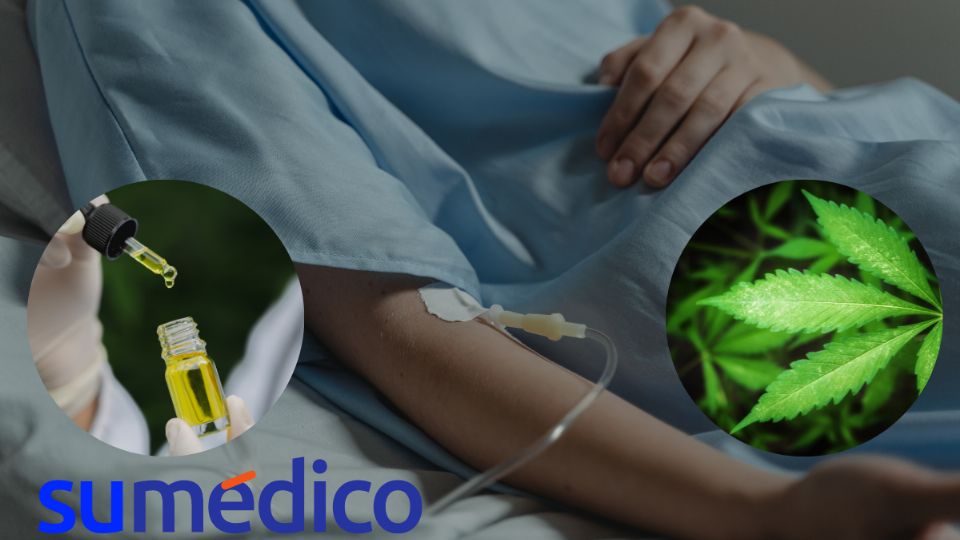 El cannabis puede ayudar a los pacientes con cáncer