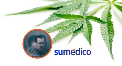 Hasta un 30% de riesgo de padecer esquizofrenia por consumo de cannabis