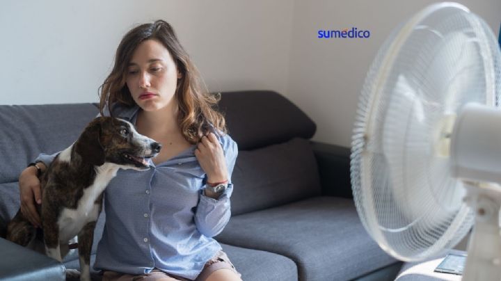 ¿Tienes calor y quieres aire fresco? Pasos para limpiar el ventilador