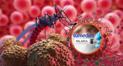 Sensor molecular podría evitar que la malaria cause daños en la salud