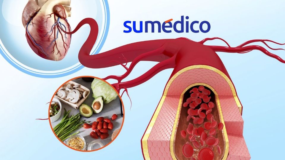 Alimentos que cuidan tus arterias y salud cardiovascular. ¿Ya los conoces?