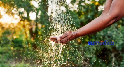 Consejos para ahorrar agua en tiempo de calor