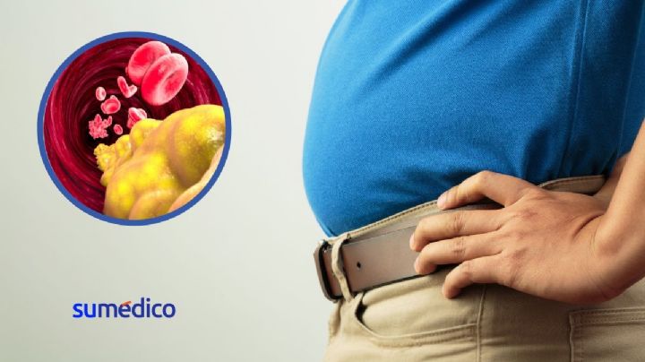 Metabolismo de las grasas ¿cómo cambia a partir de los 50?