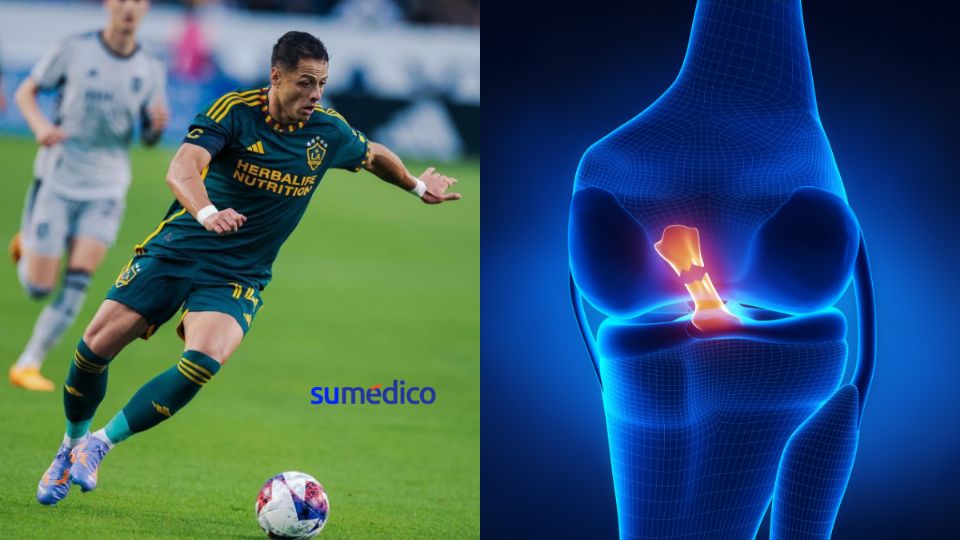 'Chicharito' se lesiona el ligamento cruzado anterior de la rodilla derecha.