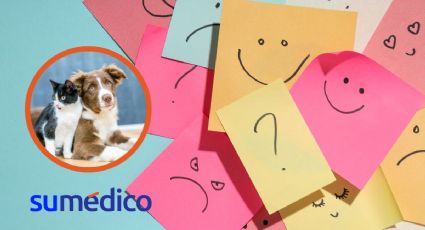 Mascotas benefician poco la salud emocional de personas con enfermedades graves