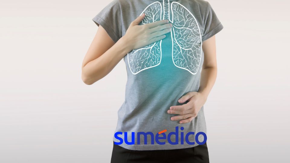 Los pulmones son órganos fundamentales.