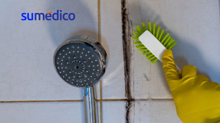 ¿Cómo quitar el moho de la regadera?
