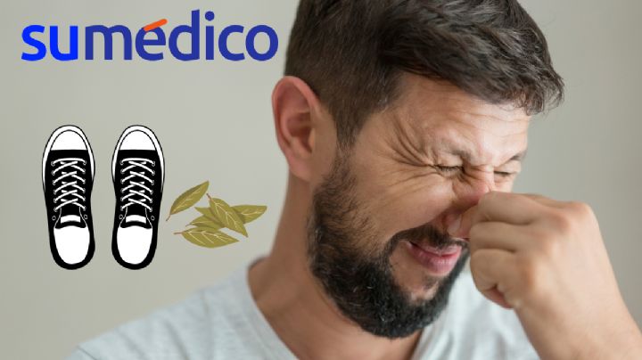 ¿Tus zapatos huelen feo? Las hojas de laurel pueden solucionar el mal olor