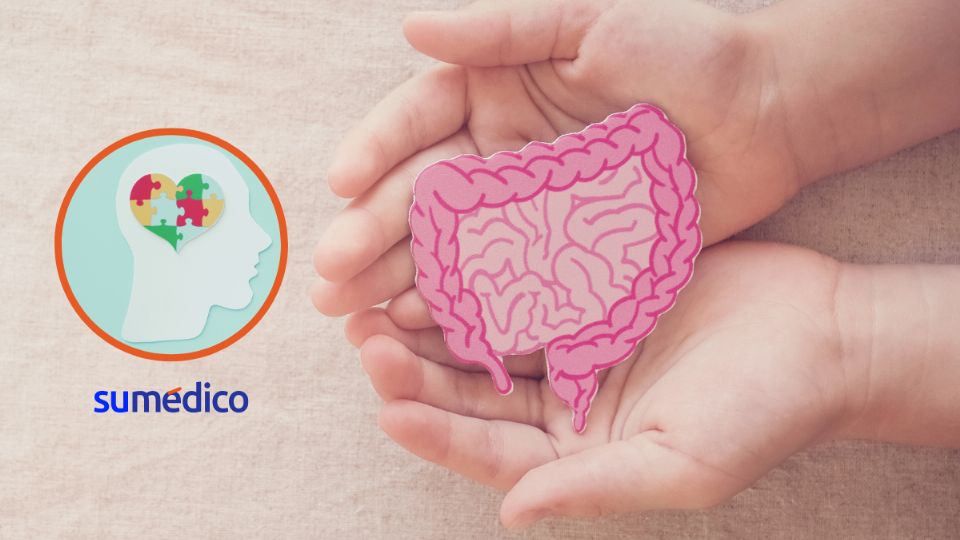 Relación entre microbiota y salud mental.