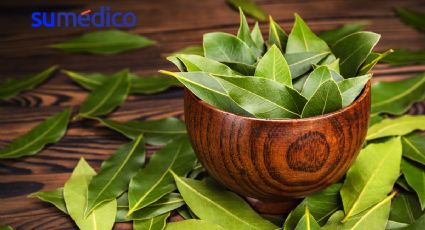 5 beneficios que la hoja de laurel le aporta a tu salud