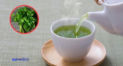 ¿Es seguro tomar infusiones de epazote y otros remedios de herbolaria?