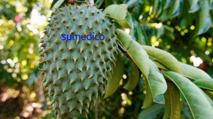 Esta bebida te ayuda a regular la glucosa y mejorar la salud cardiovascular