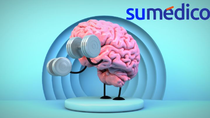 Descubren proteína que rejuvenece el cerebro y reactiva la memoria, ¿cuál es?