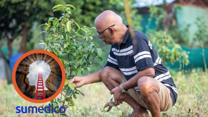 Integridad vs. Desesperación: ¿qué significa esta etapa en adultos mayores?