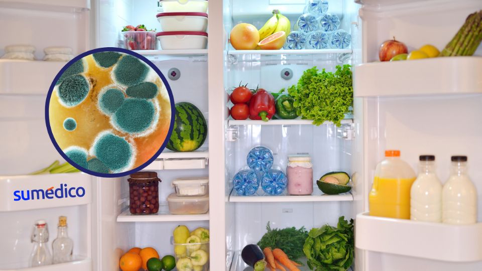 Así puedes quitar el moho de tu refrigerador