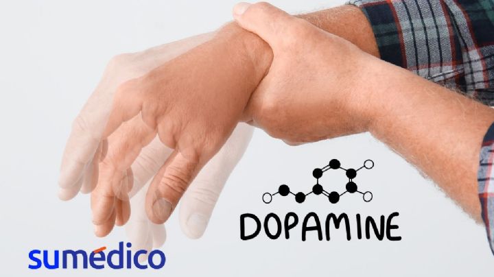 Este hallazgo podría ayudar a explicar la enfermedad de Parkinson