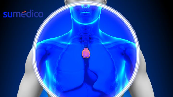 ¿Qué es el timo y cómo puede ayudarte a prevenir el cáncer?